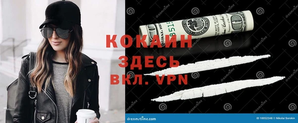шишки Балабаново