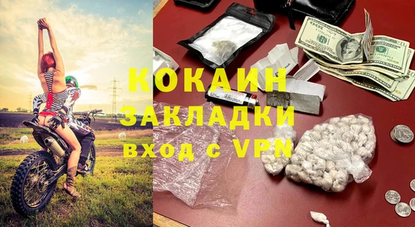 шишки Балабаново
